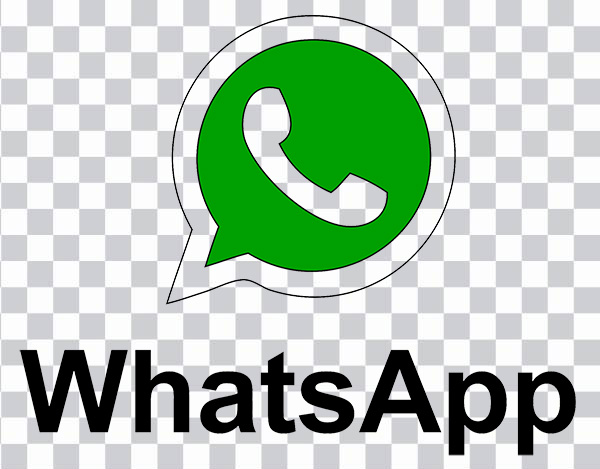 WhatsApp Email Web design Message Icon,<br> Whatsapp, WhatsApp logo, text, logo, green png