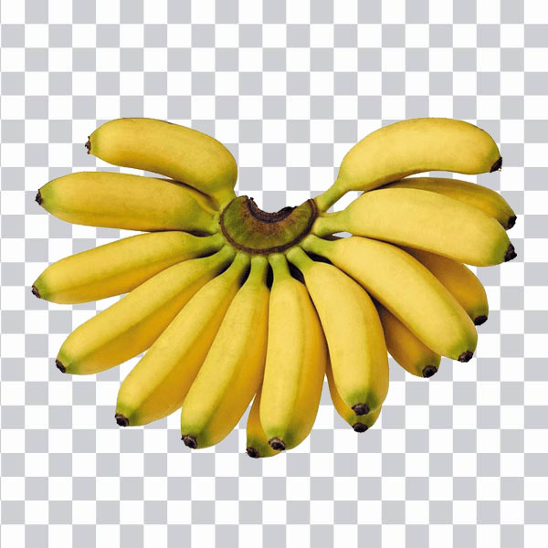 Bunch of Bananas, organic food, natural food <br>Juice Banana Fruit Vegetable, banana, natural Foods,<br> food, tropical Fruit png free