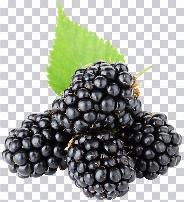 Grape, Boysenberry, Red Mulberry, Berries, Black <br>Mulberry, Fruit, Blackberry, Loganberry, Boysenberry, <br>Red Mulberry, Berries png free