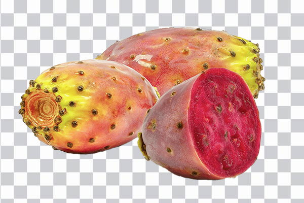 Opuntia fruit or prickly pear fruit, Barbary fig <br> Common fig Opuntia cochenillifera Embryophyta <br>Cactacea cactus fruit, png free