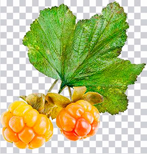 Varenye Cloudberry graphy Berries, berries, natural <br>Foods, food png free