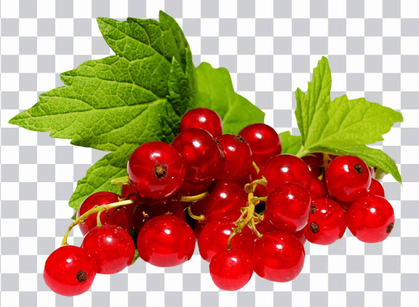 Ribes rosso, Redcurrant, jelly, organic fruit, leaves, <br>bunch of redcurrant, juice, hd png