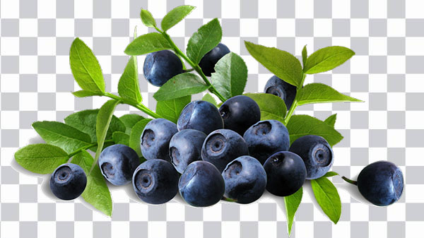 Mirtillo, Blueberry, blue berry, Juice Organic food <br>Raw foodism Blueberry Flavor, HD png