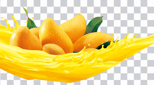 Mango Giallo, Yellow Mango, juice splash, food, <br>مانجو صفراء, bunch of mangos, png free