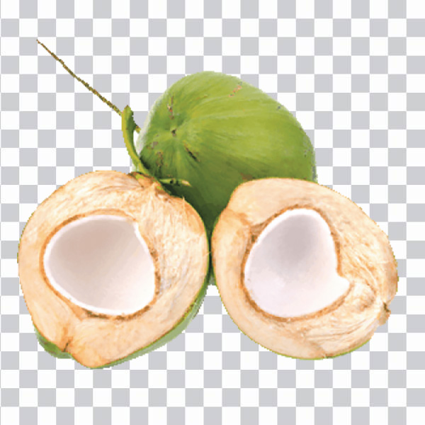 جوز الهند الأخضر, Cocco verde, Green Coconut<br> shell, coco powder, coconut milk, png free