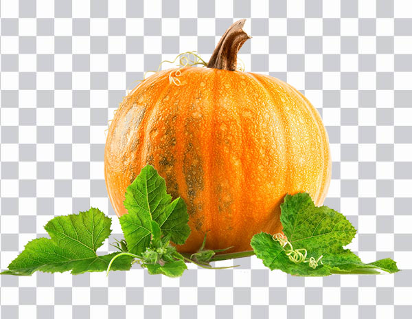 Pumpkin, Zucca, pumpkin illustration, Pumpkin pie<br> Health Pumpkin seed Nutrition, png free